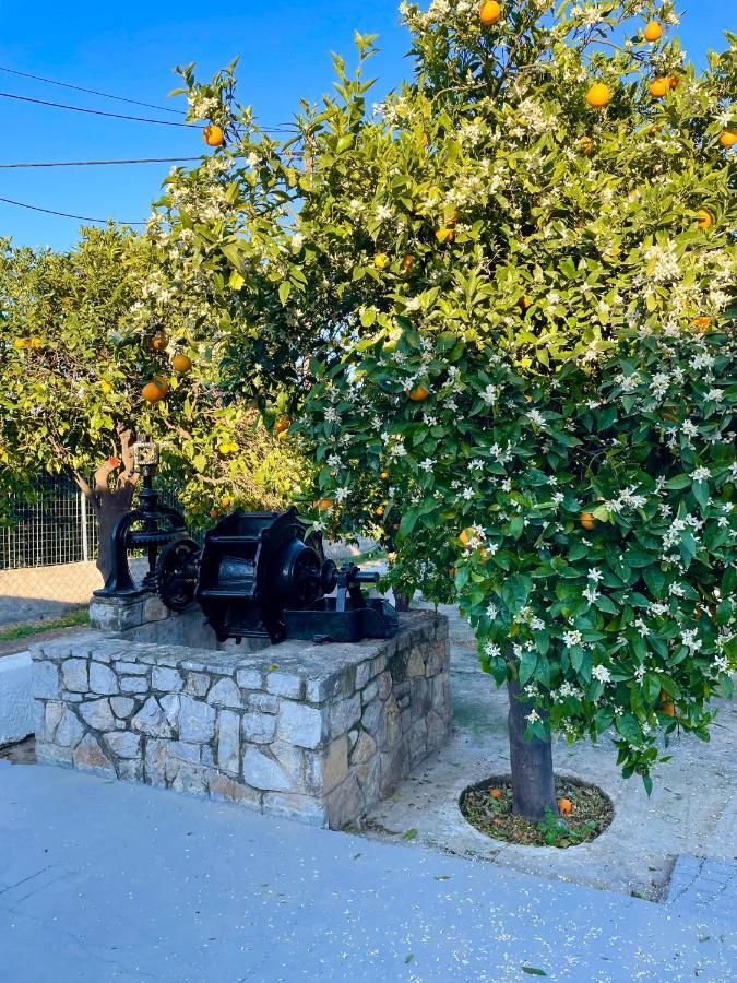 Citrus Garden Villa Epidaurus Exterior photo
