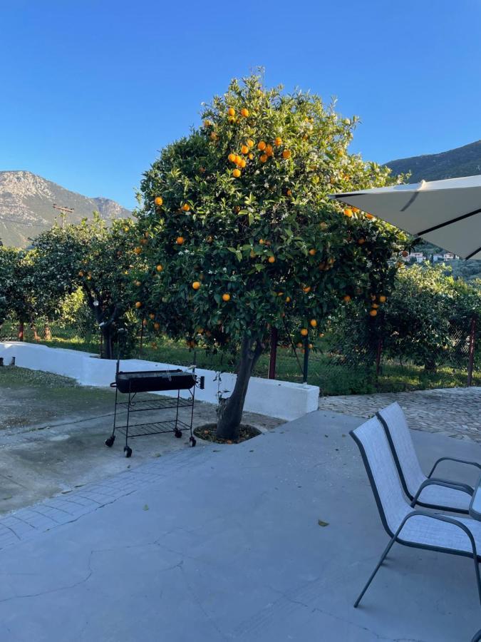Citrus Garden Villa Epidaurus Exterior photo
